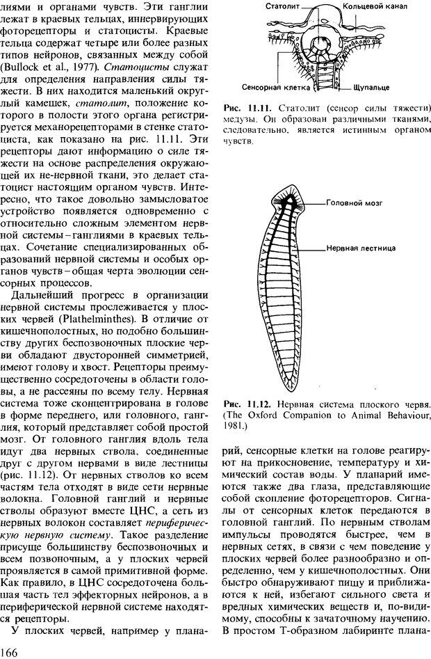 📖 DJVU. Поведение животных. Психобиология, этология и эволюция. Мак-Фарланд Д. Страница 166. Читать онлайн djvu