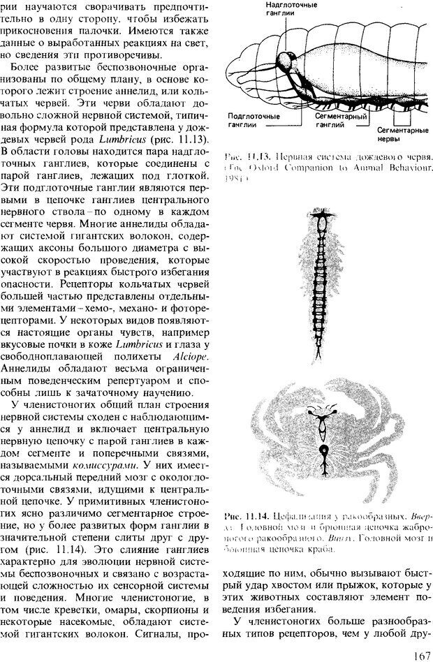 📖 DJVU. Поведение животных. Психобиология, этология и эволюция. Мак-Фарланд Д. Страница 167. Читать онлайн djvu