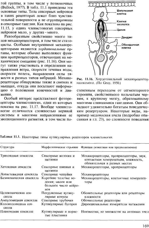 📖 DJVU. Поведение животных. Психобиология, этология и эволюция. Мак-Фарланд Д. Страница 169. Читать онлайн djvu