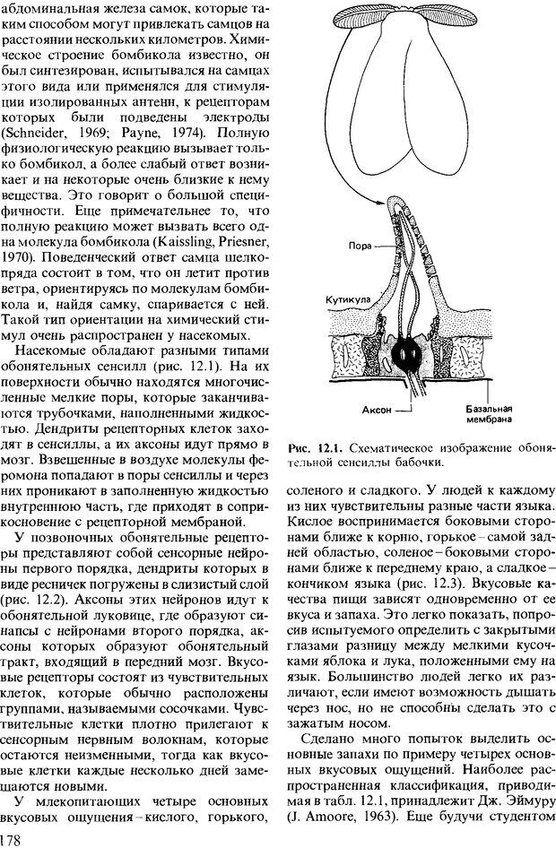 📖 DJVU. Поведение животных. Психобиология, этология и эволюция. Мак-Фарланд Д. Страница 178. Читать онлайн djvu