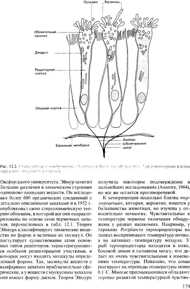 📖 DJVU. Поведение животных. Психобиология, этология и эволюция. Мак-Фарланд Д. Страница 179. Читать онлайн djvu