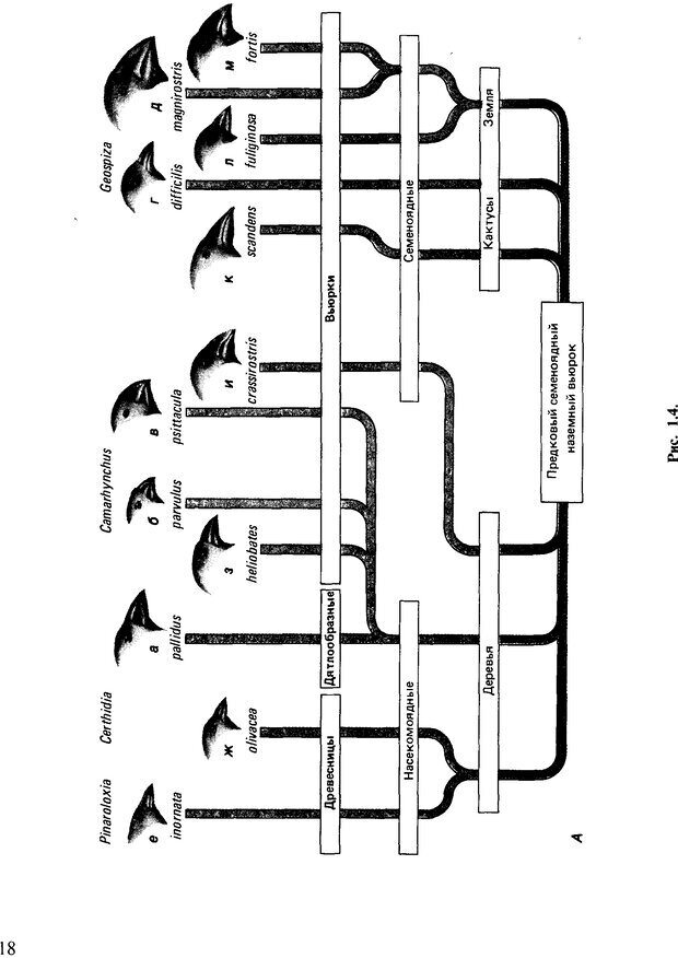 📖 DJVU. Поведение животных. Психобиология, этология и эволюция. Мак-Фарланд Д. Страница 18. Читать онлайн djvu