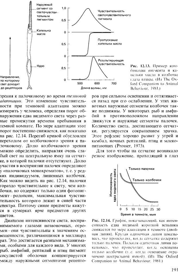 📖 DJVU. Поведение животных. Психобиология, этология и эволюция. Мак-Фарланд Д. Страница 191. Читать онлайн djvu