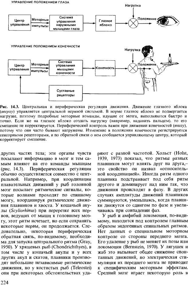 📖 DJVU. Поведение животных. Психобиология, этология и эволюция. Мак-Фарланд Д. Страница 224. Читать онлайн djvu