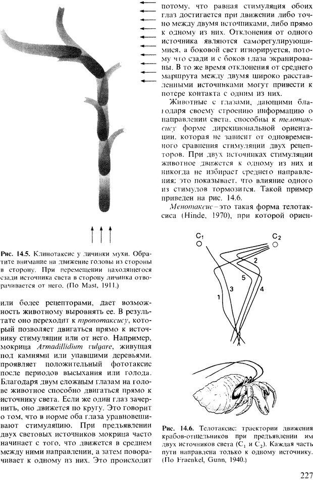 📖 DJVU. Поведение животных. Психобиология, этология и эволюция. Мак-Фарланд Д. Страница 227. Читать онлайн djvu