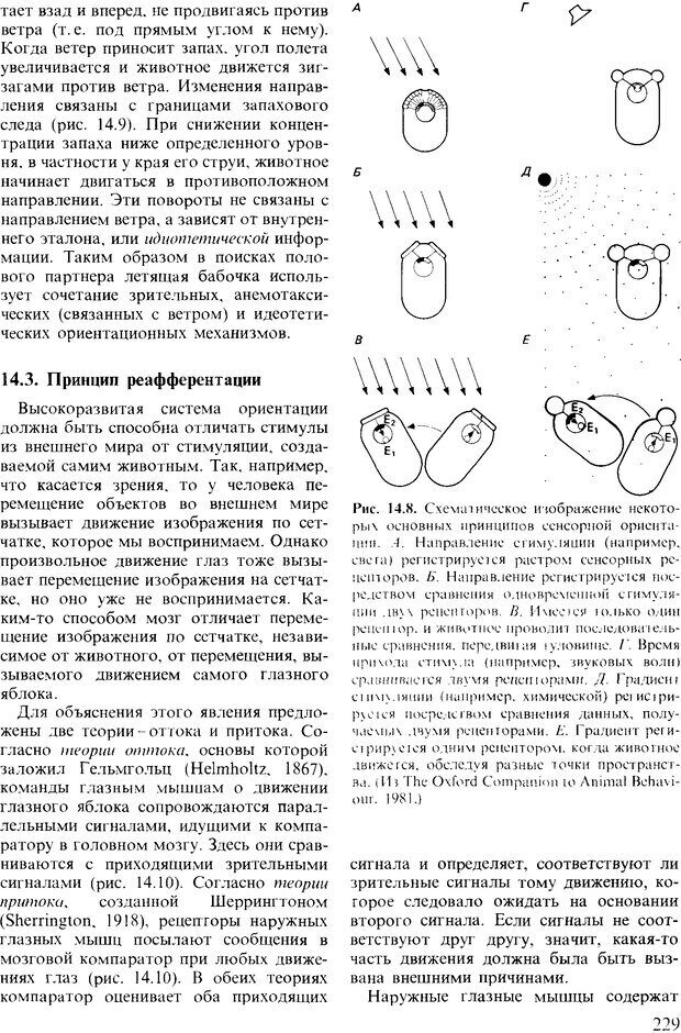 📖 DJVU. Поведение животных. Психобиология, этология и эволюция. Мак-Фарланд Д. Страница 229. Читать онлайн djvu