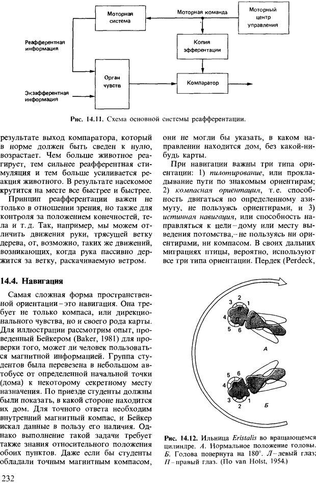 📖 DJVU. Поведение животных. Психобиология, этология и эволюция. Мак-Фарланд Д. Страница 232. Читать онлайн djvu