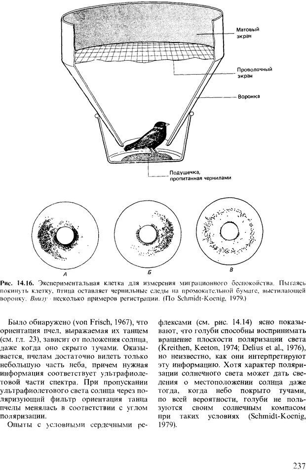 📖 DJVU. Поведение животных. Психобиология, этология и эволюция. Мак-Фарланд Д. Страница 237. Читать онлайн djvu