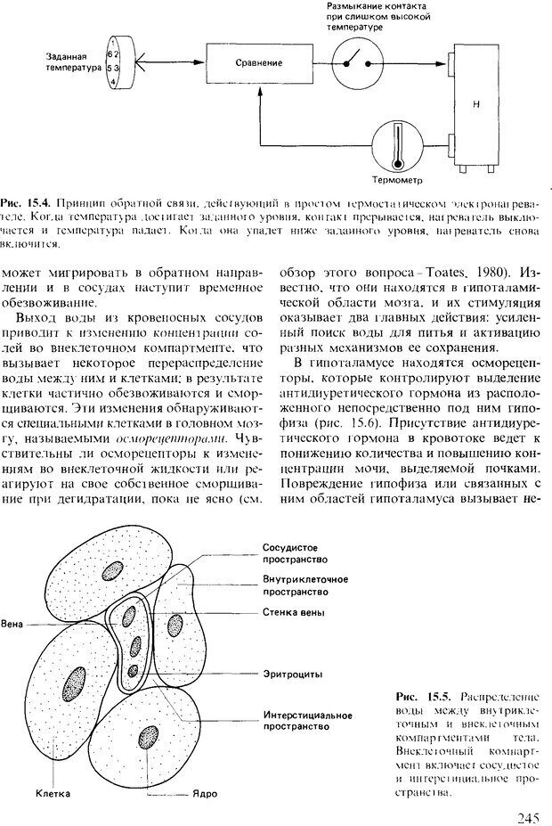 📖 DJVU. Поведение животных. Психобиология, этология и эволюция. Мак-Фарланд Д. Страница 245. Читать онлайн djvu