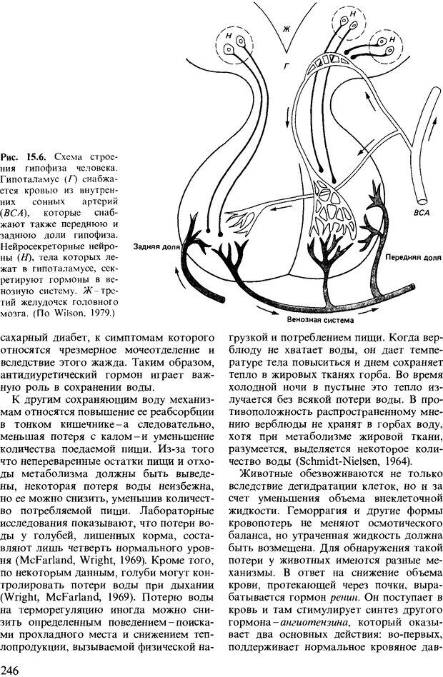 📖 DJVU. Поведение животных. Психобиология, этология и эволюция. Мак-Фарланд Д. Страница 246. Читать онлайн djvu