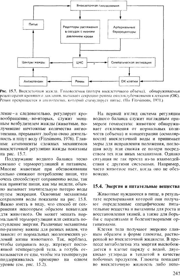 📖 DJVU. Поведение животных. Психобиология, этология и эволюция. Мак-Фарланд Д. Страница 247. Читать онлайн djvu