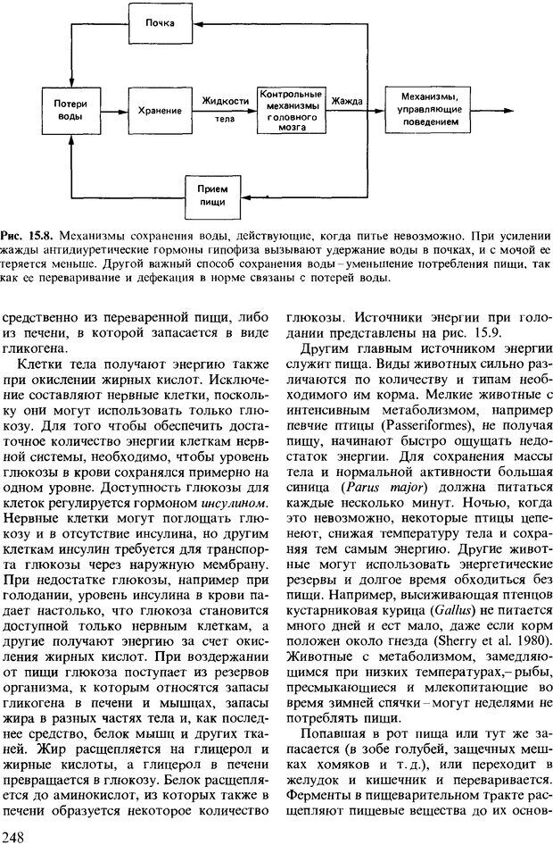 📖 DJVU. Поведение животных. Психобиология, этология и эволюция. Мак-Фарланд Д. Страница 248. Читать онлайн djvu