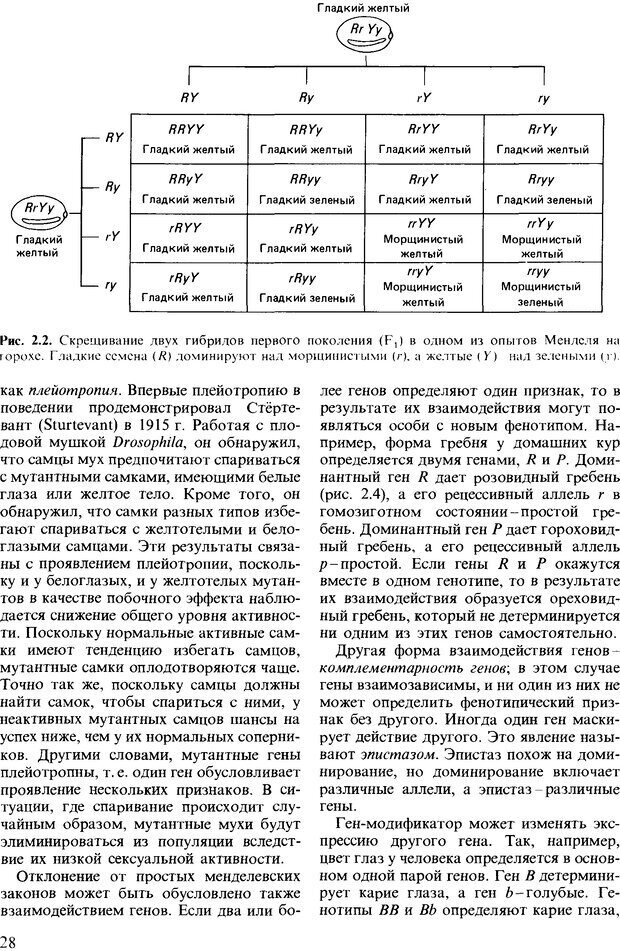 📖 DJVU. Поведение животных. Психобиология, этология и эволюция. Мак-Фарланд Д. Страница 28. Читать онлайн djvu