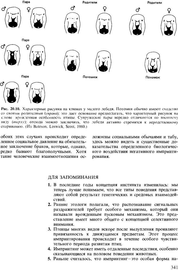 📖 DJVU. Поведение животных. Психобиология, этология и эволюция. Мак-Фарланд Д. Страница 341. Читать онлайн djvu