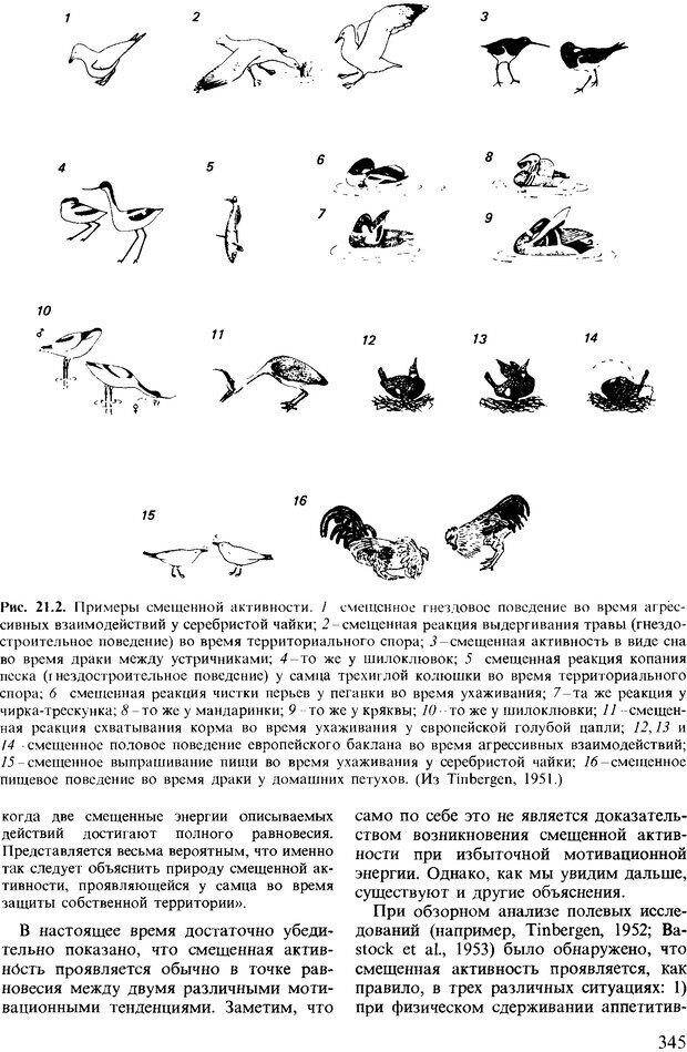 📖 DJVU. Поведение животных. Психобиология, этология и эволюция. Мак-Фарланд Д. Страница 345. Читать онлайн djvu