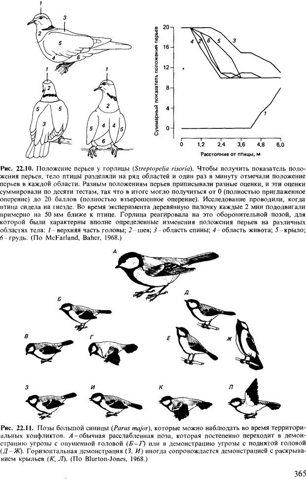 📖 DJVU. Поведение животных. Психобиология, этология и эволюция. Мак-Фарланд Д. Страница 365. Читать онлайн djvu