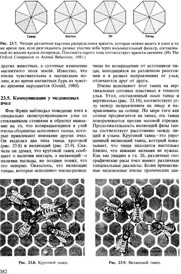 📖 DJVU. Поведение животных. Психобиология, этология и эволюция. Мак-Фарланд Д. Страница 382. Читать онлайн djvu