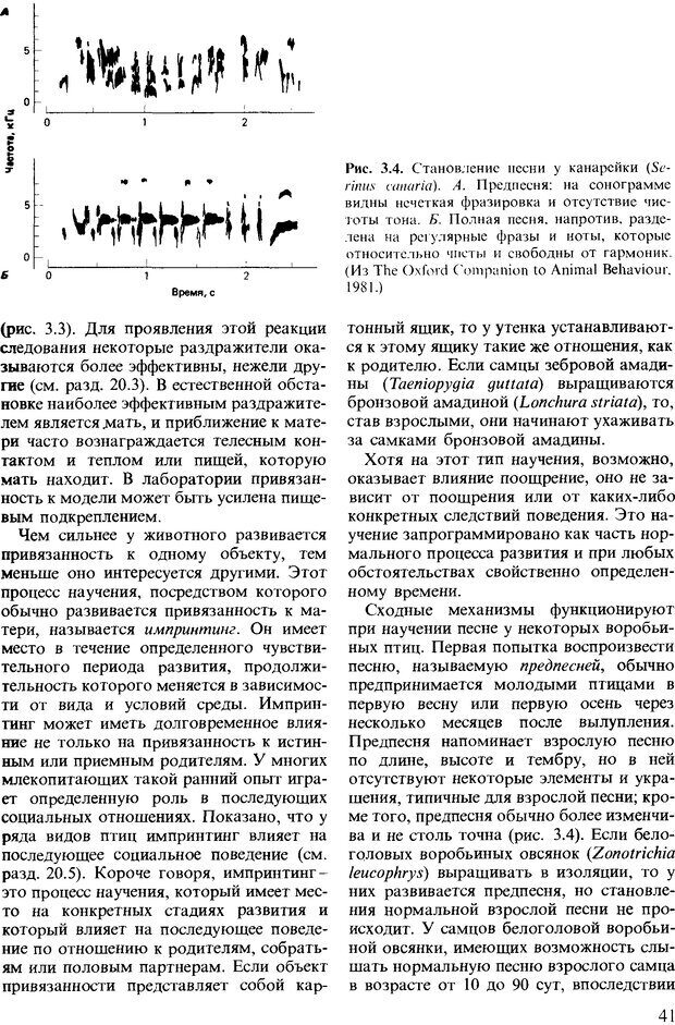 📖 DJVU. Поведение животных. Психобиология, этология и эволюция. Мак-Фарланд Д. Страница 41. Читать онлайн djvu