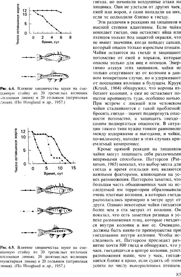 📖 DJVU. Поведение животных. Психобиология, этология и эволюция. Мак-Фарланд Д. Страница 85. Читать онлайн djvu