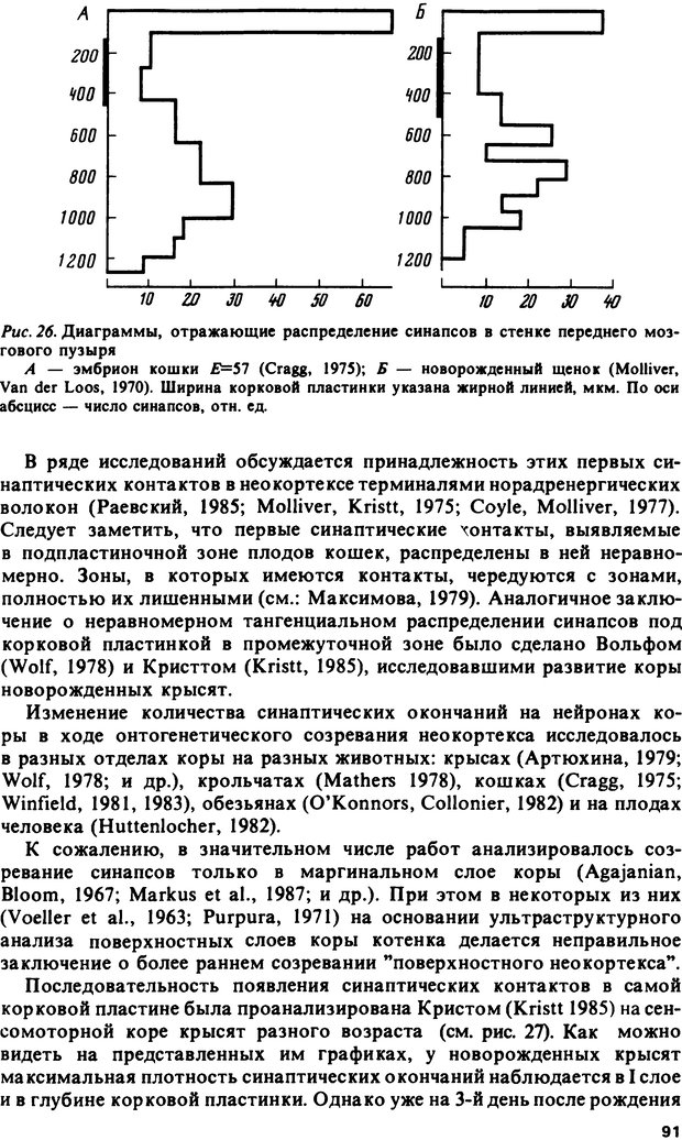 📖 DJVU. Онтогенез коры больших полушарий. Максимова Е. В. Страница 91. Читать онлайн djvu