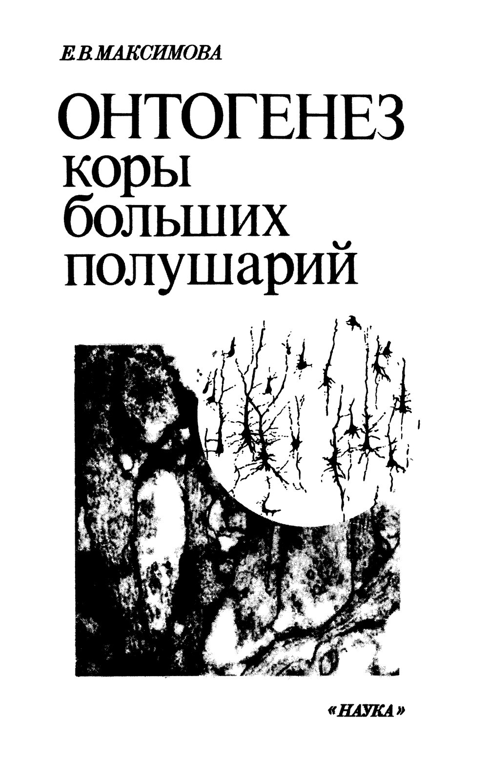 Обложка книги "Онтогенез коры больших полушарий"