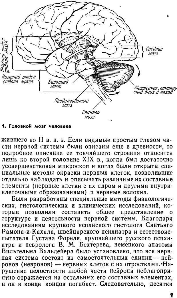 📖 PDF. Мозг и сознание. Настев Г. Страница 9. Читать онлайн pdf