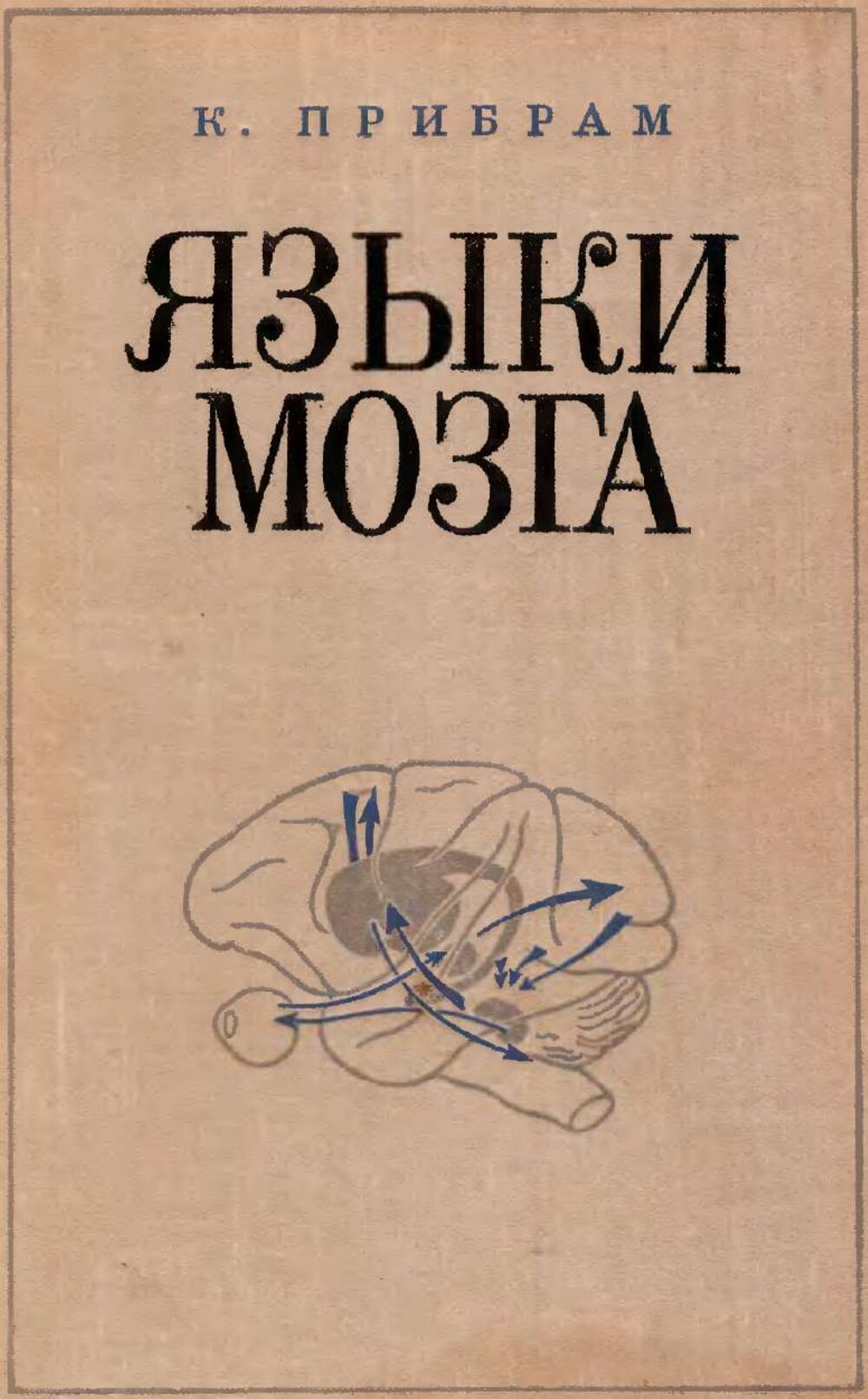 Обложка книги "Языки мозга"