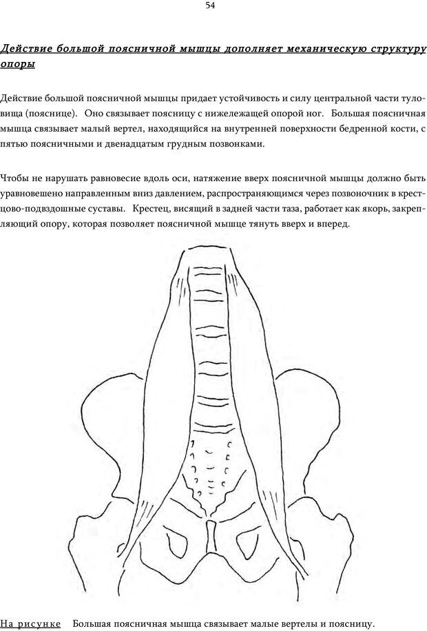 📖 PDF. Движение внутри: Идеокинетический базис для обучения движению. Ролланд Д. Страница 53. Читать онлайн pdf