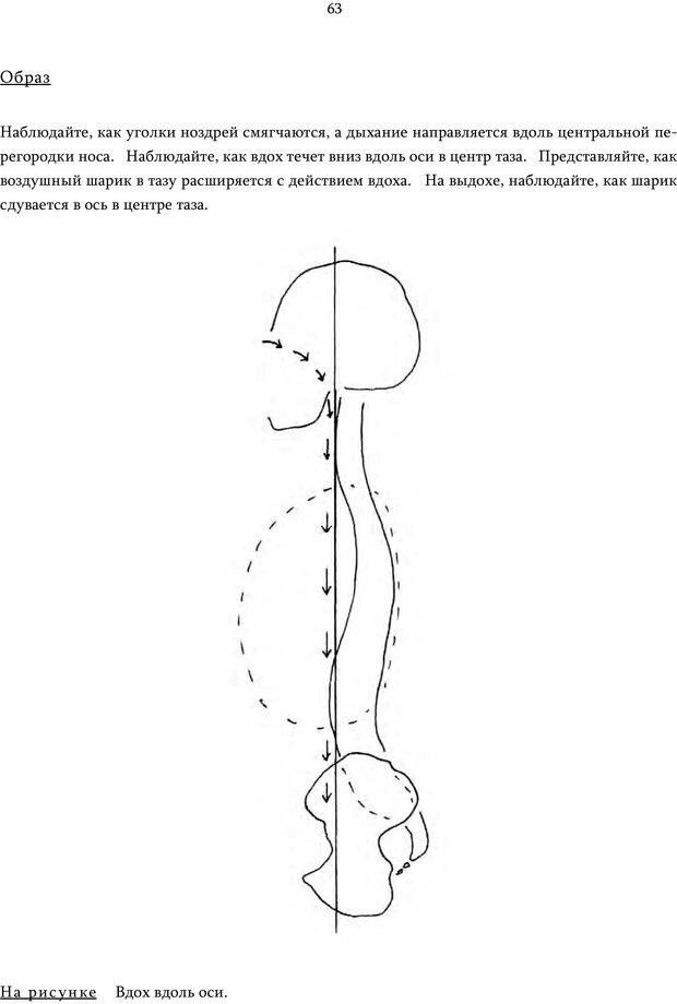 📖 PDF. Движение внутри: Идеокинетический базис для обучения движению. Ролланд Д. Страница 62. Читать онлайн pdf