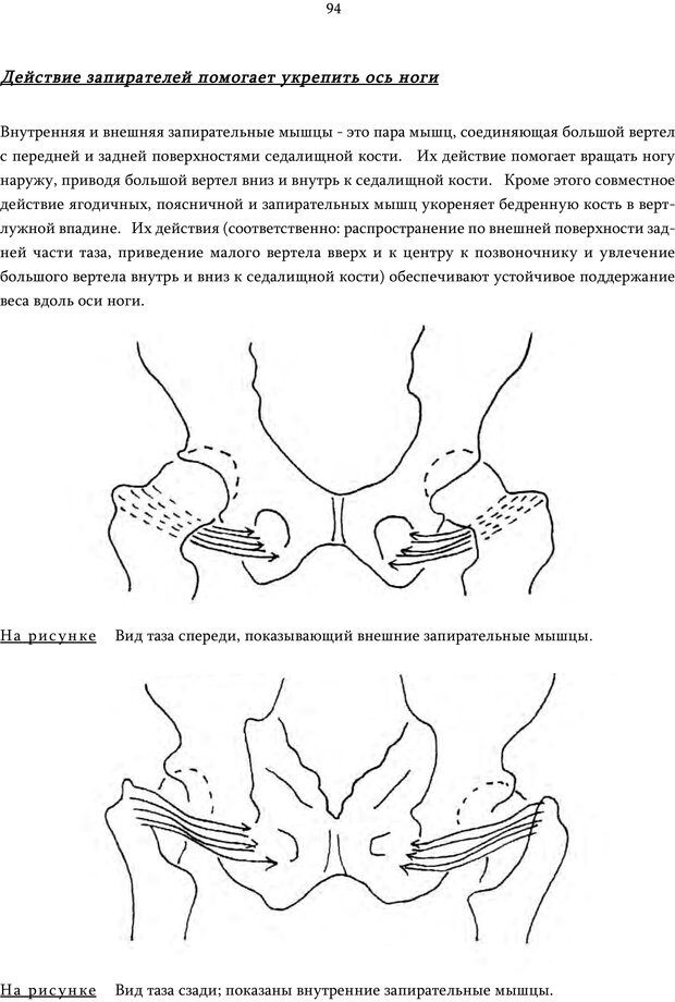 📖 PDF. Движение внутри: Идеокинетический базис для обучения движению. Ролланд Д. Страница 93. Читать онлайн pdf