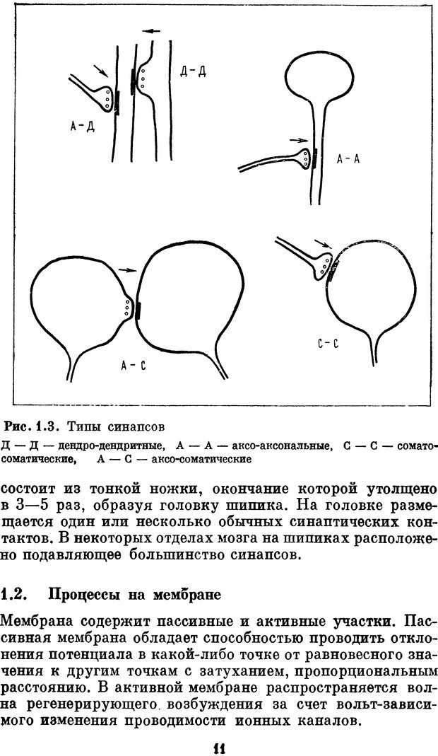 📖 DJVU. Нейробионика. Организация нейроподобных элементов и систем. Соколов Е. Н. Страница 10. Читать онлайн djvu