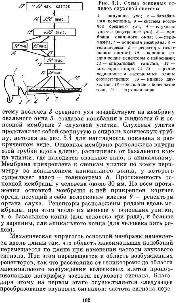 📖 DJVU. Нейробионика. Организация нейроподобных элементов и систем. Соколов Е. Н. Страница 101. Читать онлайн djvu