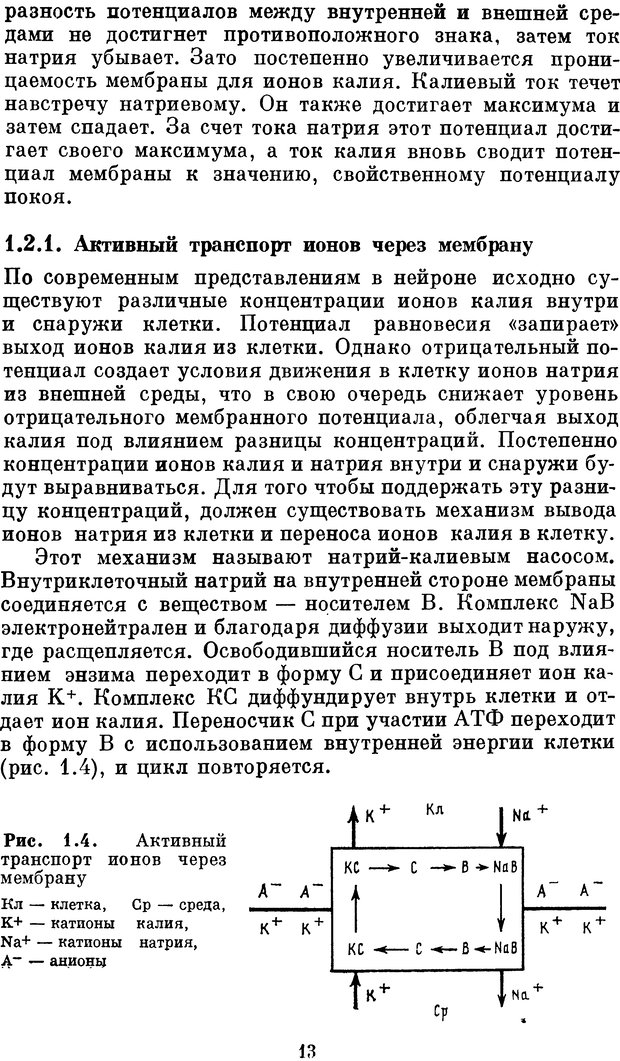 📖 DJVU. Нейробионика. Организация нейроподобных элементов и систем. Соколов Е. Н. Страница 12. Читать онлайн djvu