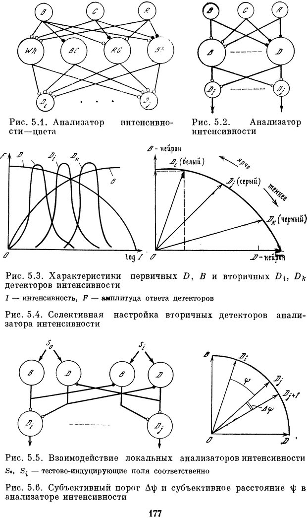 📖 DJVU. Нейробионика. Организация нейроподобных элементов и систем. Соколов Е. Н. Страница 176. Читать онлайн djvu