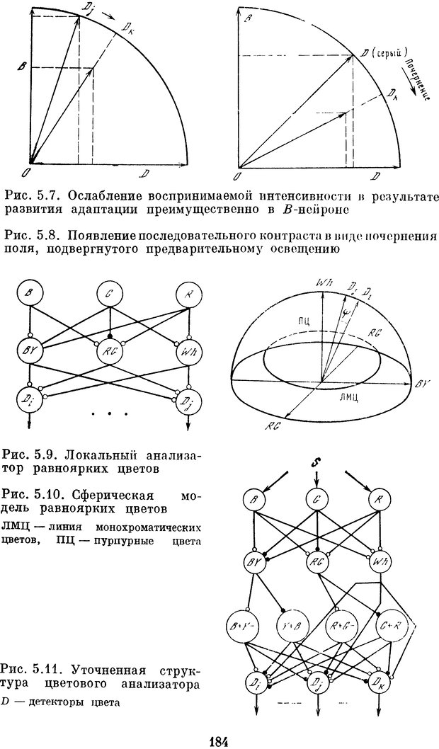 📖 DJVU. Нейробионика. Организация нейроподобных элементов и систем. Соколов Е. Н. Страница 183. Читать онлайн djvu