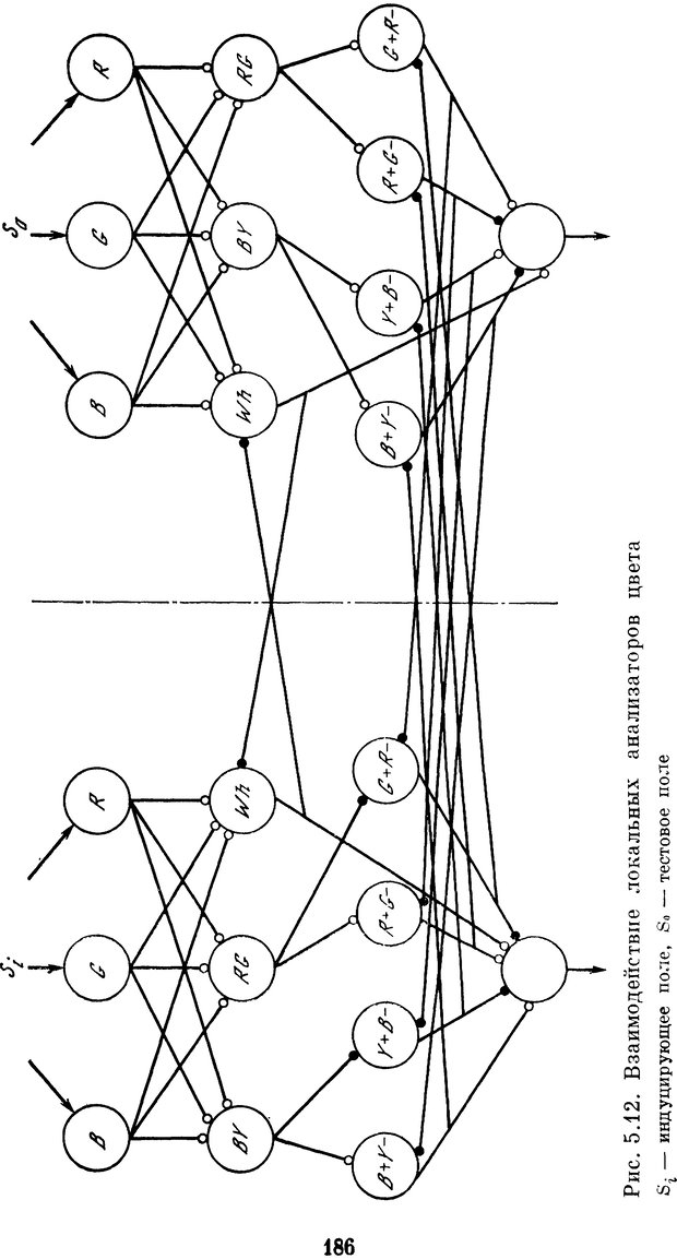 📖 DJVU. Нейробионика. Организация нейроподобных элементов и систем. Соколов Е. Н. Страница 185. Читать онлайн djvu