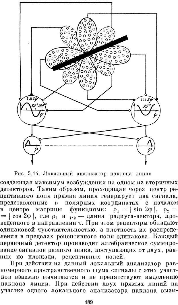 📖 DJVU. Нейробионика. Организация нейроподобных элементов и систем. Соколов Е. Н. Страница 188. Читать онлайн djvu