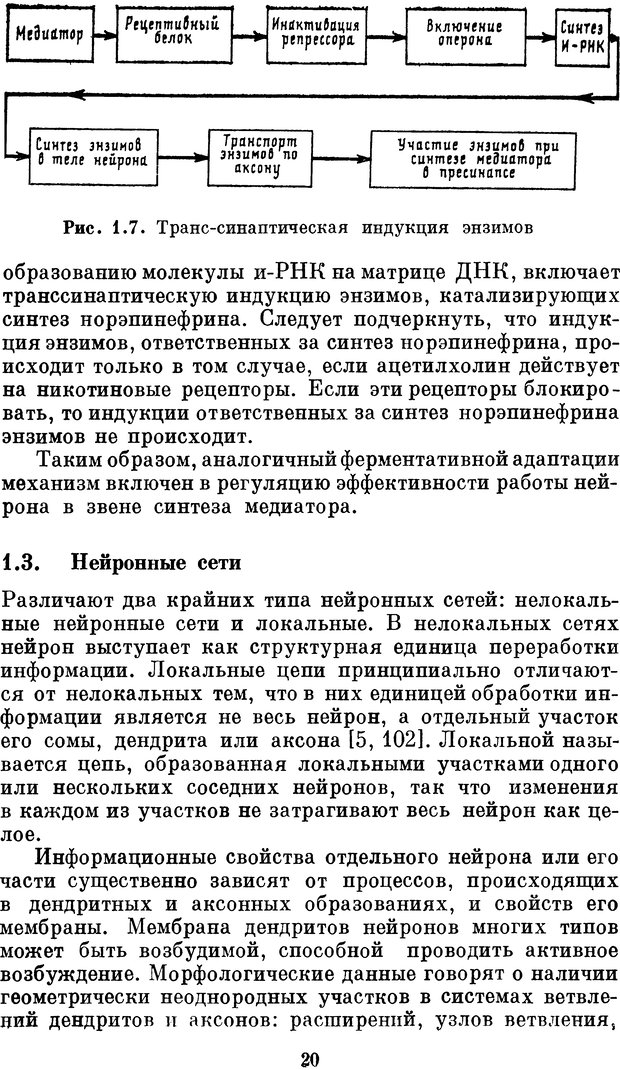 📖 DJVU. Нейробионика. Организация нейроподобных элементов и систем. Соколов Е. Н. Страница 19. Читать онлайн djvu