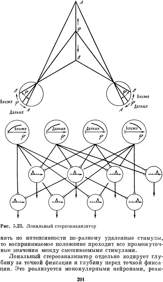 📖 DJVU. Нейробионика. Организация нейроподобных элементов и систем. Соколов Е. Н. Страница 200. Читать онлайн djvu