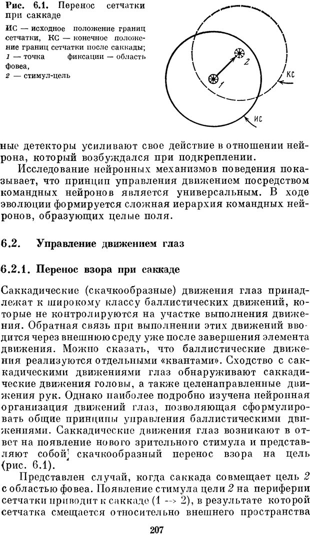 📖 DJVU. Нейробионика. Организация нейроподобных элементов и систем. Соколов Е. Н. Страница 206. Читать онлайн djvu