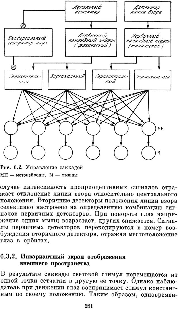 📖 DJVU. Нейробионика. Организация нейроподобных элементов и систем. Соколов Е. Н. Страница 210. Читать онлайн djvu