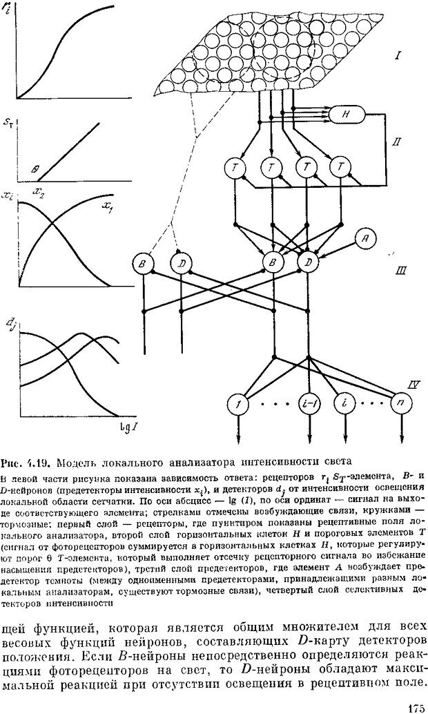 📖 DJVU. Нейроинтеллект. От нейрона к нейрокомпьютеру. Соколов Е. Н. Страница 175. Читать онлайн djvu