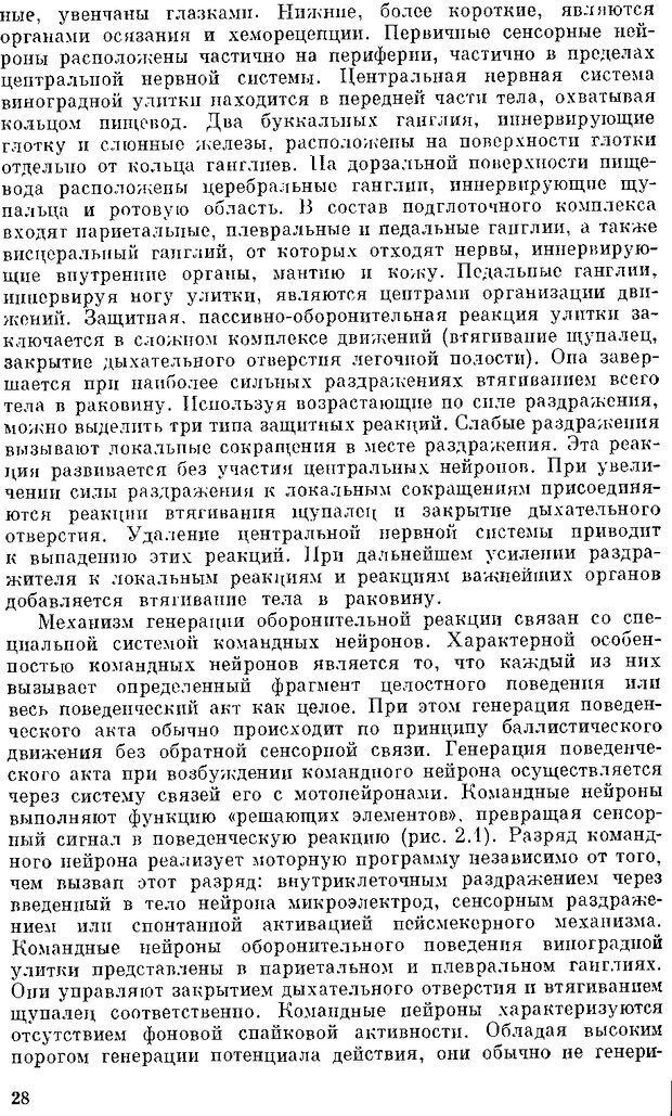 📖 DJVU. Нейроинтеллект. От нейрона к нейрокомпьютеру. Соколов Е. Н. Страница 28. Читать онлайн djvu