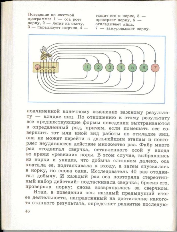 📖 PDF. Тайны мышления. Генетические корни поведения (Ученые - школьнику). Судаков К. В. Страница 47. Читать онлайн pdf