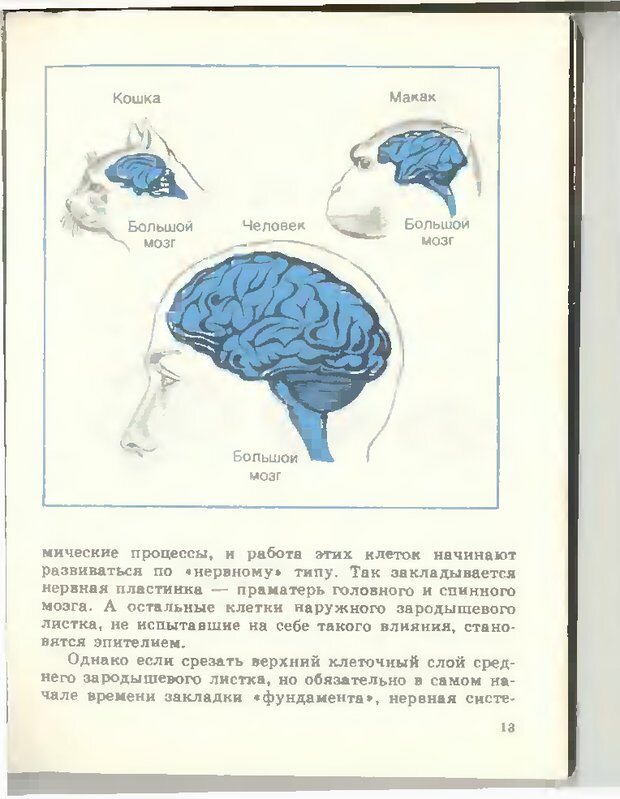 📖 DJVU. Тайны мышления.Генетические корни поведения. Судаков К. В. Страница 14. Читать онлайн djvu