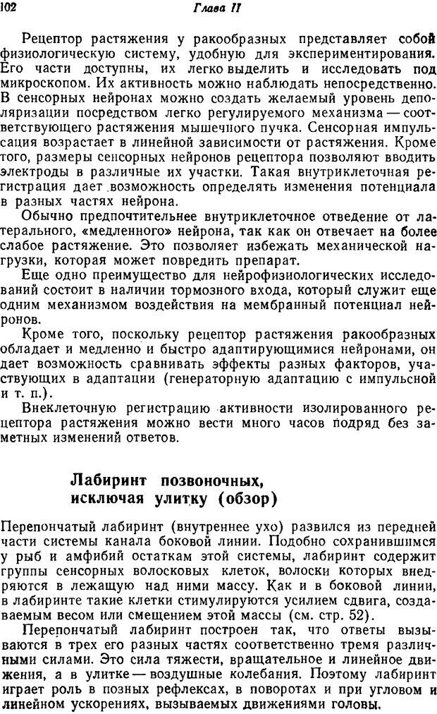 📖 PDF. Основы сенсорной физиологии. Тамар Г. Страница 101. Читать онлайн pdf