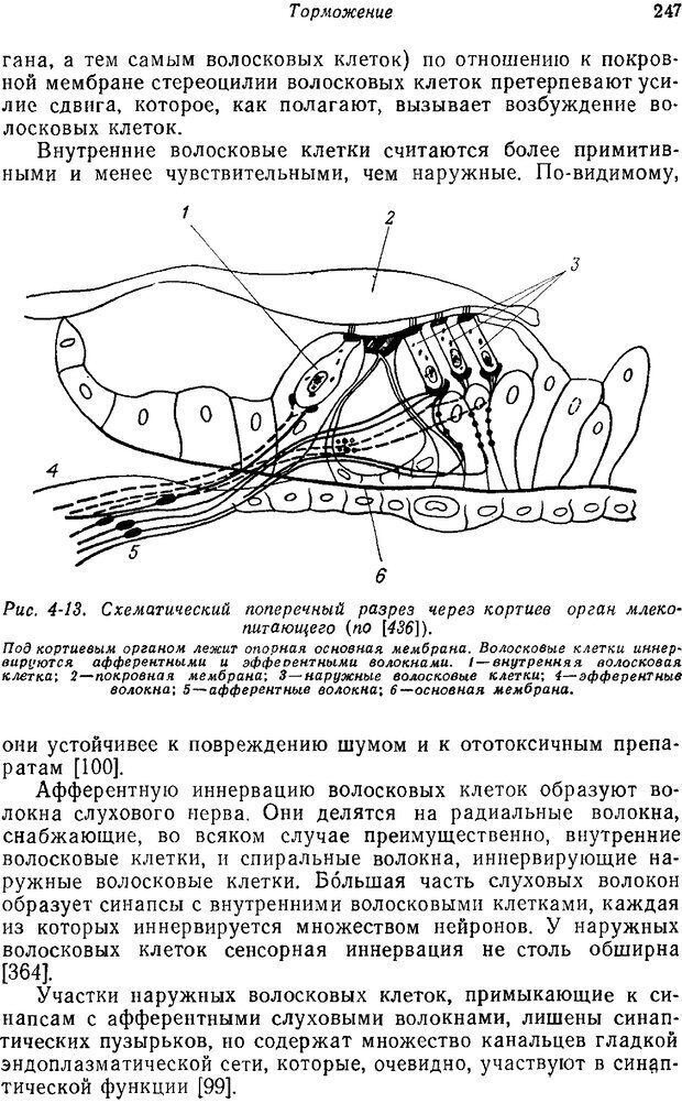 📖 PDF. Основы сенсорной физиологии. Тамар Г. Страница 246. Читать онлайн pdf