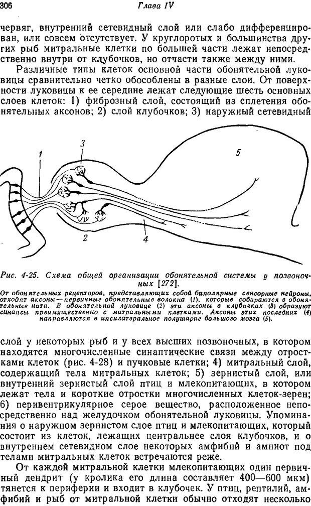 📖 PDF. Основы сенсорной физиологии. Тамар Г. Страница 305. Читать онлайн pdf