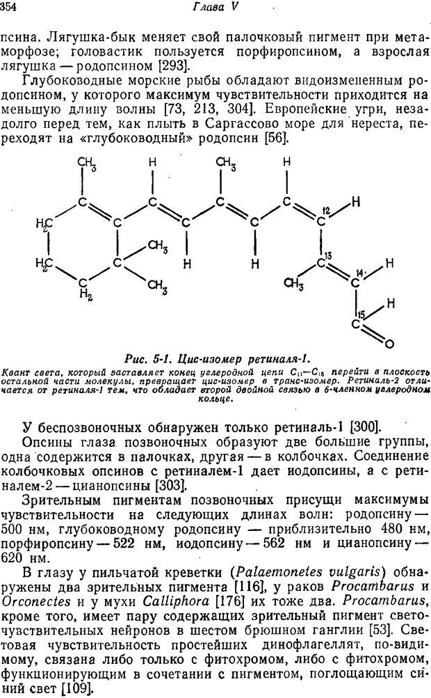 📖 PDF. Основы сенсорной физиологии. Тамар Г. Страница 353. Читать онлайн pdf