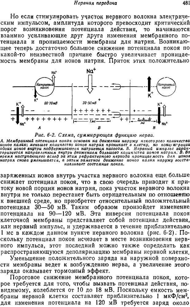 📖 PDF. Основы сенсорной физиологии. Тамар Г. Страница 480. Читать онлайн pdf